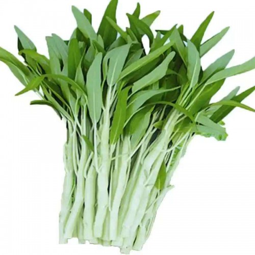 白通菜